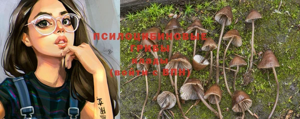 первитин Алексин
