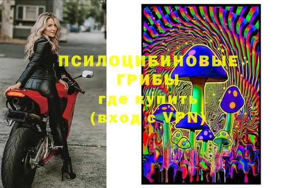 мяу мяу мука Алзамай