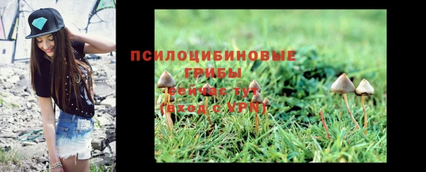 молекула духа Зеленокумск